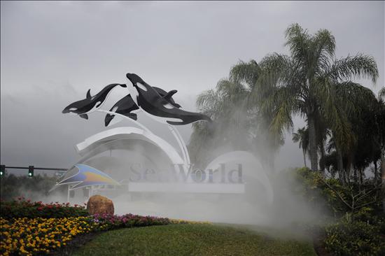 SeaWorld reanuda el sábado espectáculo con ballenas orcas SeaWorld reanuda el sábado espectáculo con ballenas orcas