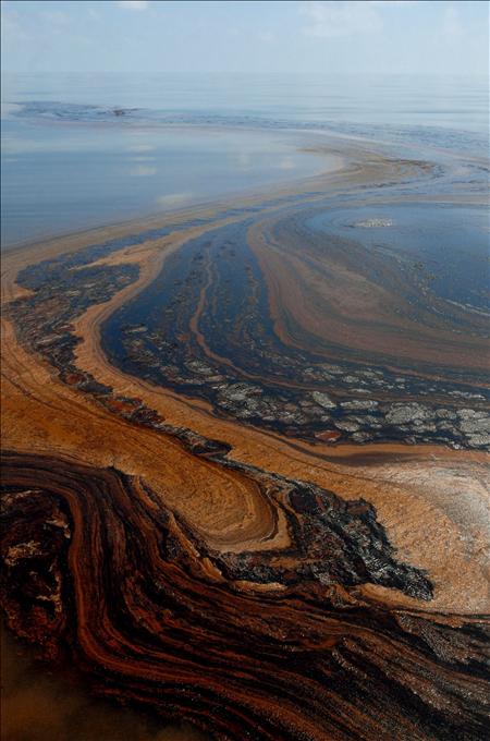 El derrame del Golfo de México, amenazante realidad para peces, pájaros y plantas de la zona El derrame del Golfo de México, amenazante realidad para peces, pájaros y plantas de la zona