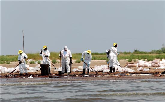 Oleadas de la “marea negra” llegan a canales de la costa noroeste de Florida Oleadas de la “marea negra” llegan a canales de la costa noroeste de Florida