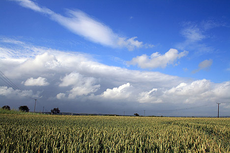 Agricultura sin arados reduce los gases contaminantes Agricultura sin arados reduce los gases contaminantes