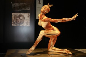 Body