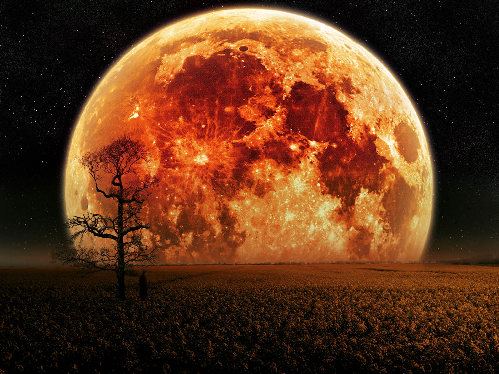 La ‘súper luna’ del 19 de marzo, ¿causará desastres naturales? La ‘súper luna’ del 19 de marzo, ¿causará desastres naturales?