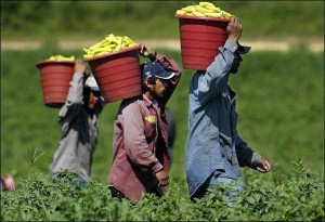 Workers