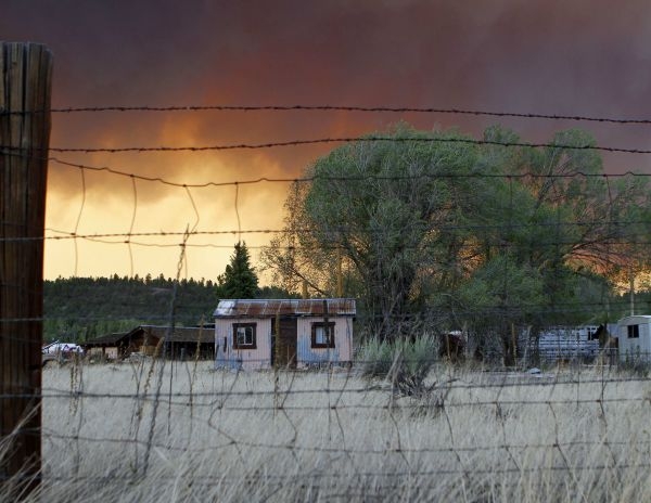Se expande incendio forestal en Arizona Se expande incendio forestal en Arizona