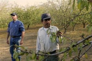 Shawn Coburn, Juan Guadian