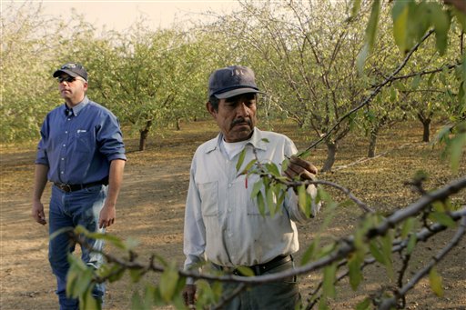 E-Verify en Arizona obligará a más indocumentados a vivir en la sombras E-Verify en Arizona obligará a más indocumentados a vivir en la sombras