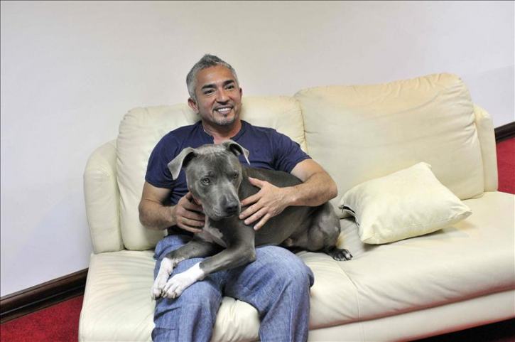 César Millán, el mexicano que conquistó al mundo encantando perros y personas César Millán, el mexicano que conquistó al mundo encantando perros y personas