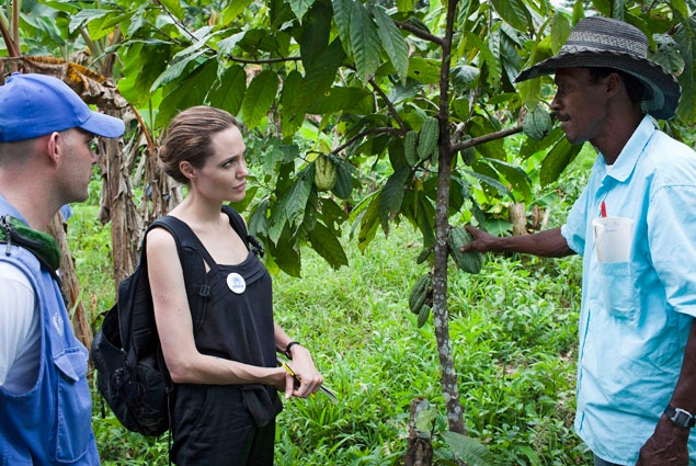Angelina Jolie insta a Ecuador a mantener una política de asilo “abierta” Angelina Jolie insta a Ecuador a mantener una política de asilo “abierta”