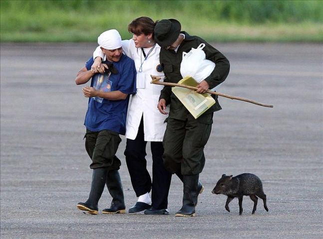 Organismos y gobiernos instan a las FARC a hacer más por la paz Organismos y gobiernos instan a las FARC a hacer más por la paz