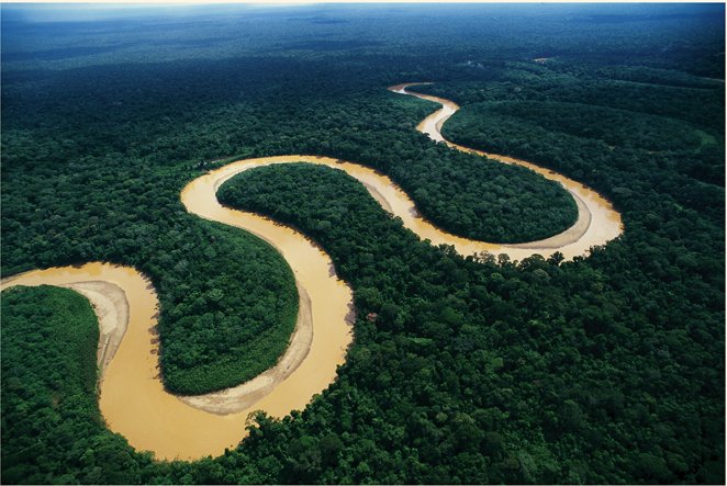 Ecologistas piden que Brasil vete la ley que hace peligrar logros en Amazonía Ecologistas piden que Brasil vete la ley que hace peligrar logros en Amazonía