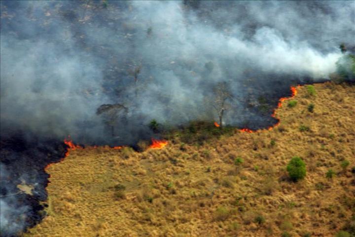 Incendios forestales afectan a cuatro estados del oeste de Estados Unidos