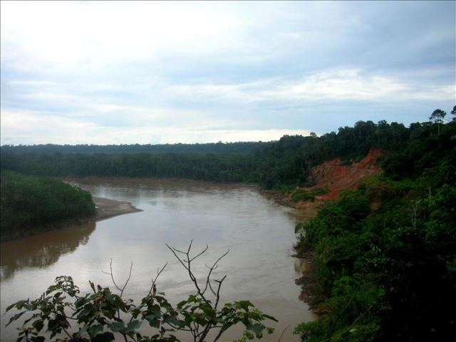 Un estudio analiza el variado impacto humano en la Amazonía precolombina Un estudio analiza el variado impacto humano en la Amazonía precolombina