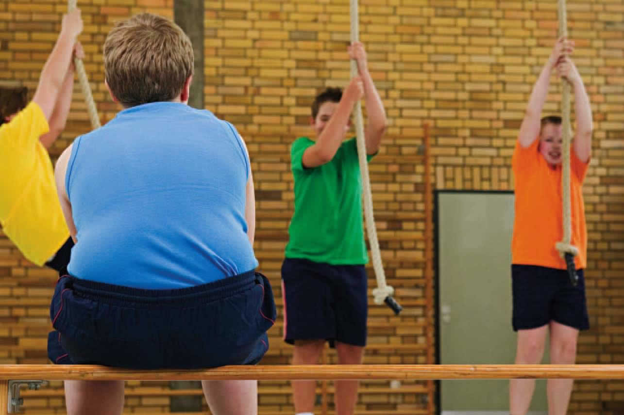 ¿Qué desató la epidemia de obesidad en el mundo? ¿Qué desató la epidemia de obesidad en el mundo?
