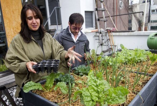 Una revolución verde irrumpe en techos y balcones de Ciudad de México Una revolución verde irrumpe en techos y balcones de Ciudad de México