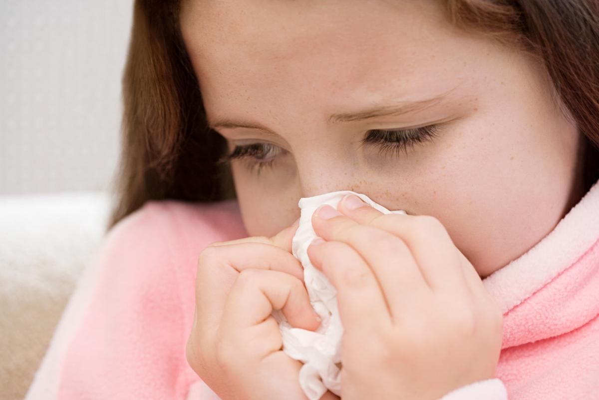El Virus de la Influenza o gripe, que debemos de hacer ante la epidemia El Virus de la Influenza o gripe, que debemos de hacer ante la epidemia