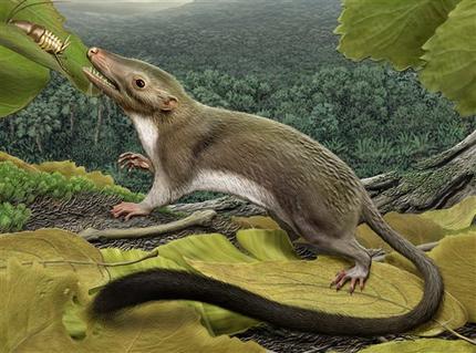 Tragedia de dinosaurios abrió paso a mamíferos Tragedia de dinosaurios abrió paso a mamíferos