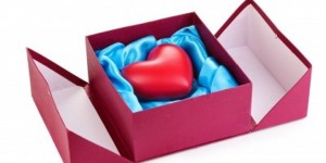 Como parte de la celebración de abril, mes nacional de la donación de vida, la organización Gift of Hope invita a la comunidad hispana a inscribirse en el registro estatal de donantes y a discutir esta decisión en familia, permitiendo así salvar las vidas de miles de latinos que actualmente sufren alguna enfermedad crónica o terminal.
