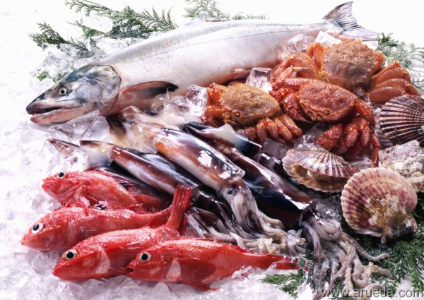 Pescados y mariscos, compruebe que sean seguros Pescados y mariscos, compruebe que sean seguros