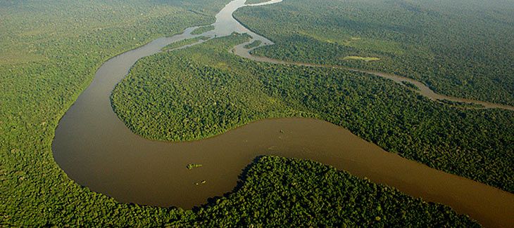 Muchas especies de animales y corales en riesgo por el cambio climático: estudio Muchas especies de animales y corales en riesgo por el cambio climático: estudio