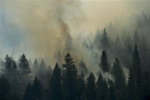 El remoto incendio en el Bosque Nacional Stanislaus al oeste de Yosemite creció más de 64 kilómetros cuadrados (25 millas cuadradas) y estaba contenido sólo en un 5%, ocasionado evacuaciones y amenazando casas, hoteles e instalaciones para acampar (AP)