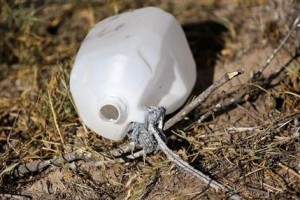 Foto de una jarra de agua vacía en medio de una hacienda cerca de Falfurias, en Texas. Foto tomada el 23 de agosto del 2013. Un condado de Texas se encuentra abrumado por la cantidad de inmigrantes muertos que yacen cerca de la frontera con México, y no tiene los recursos suficientes para investigar los decesos ni ocuparse de sus entierros. (Foto AP/Eric Gay)