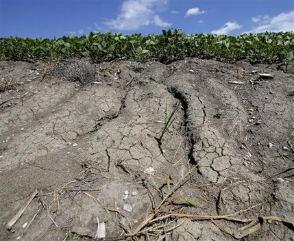 El secreto del impulso a la energía verde de Obama El secreto del impulso a la energía verde de Obama
