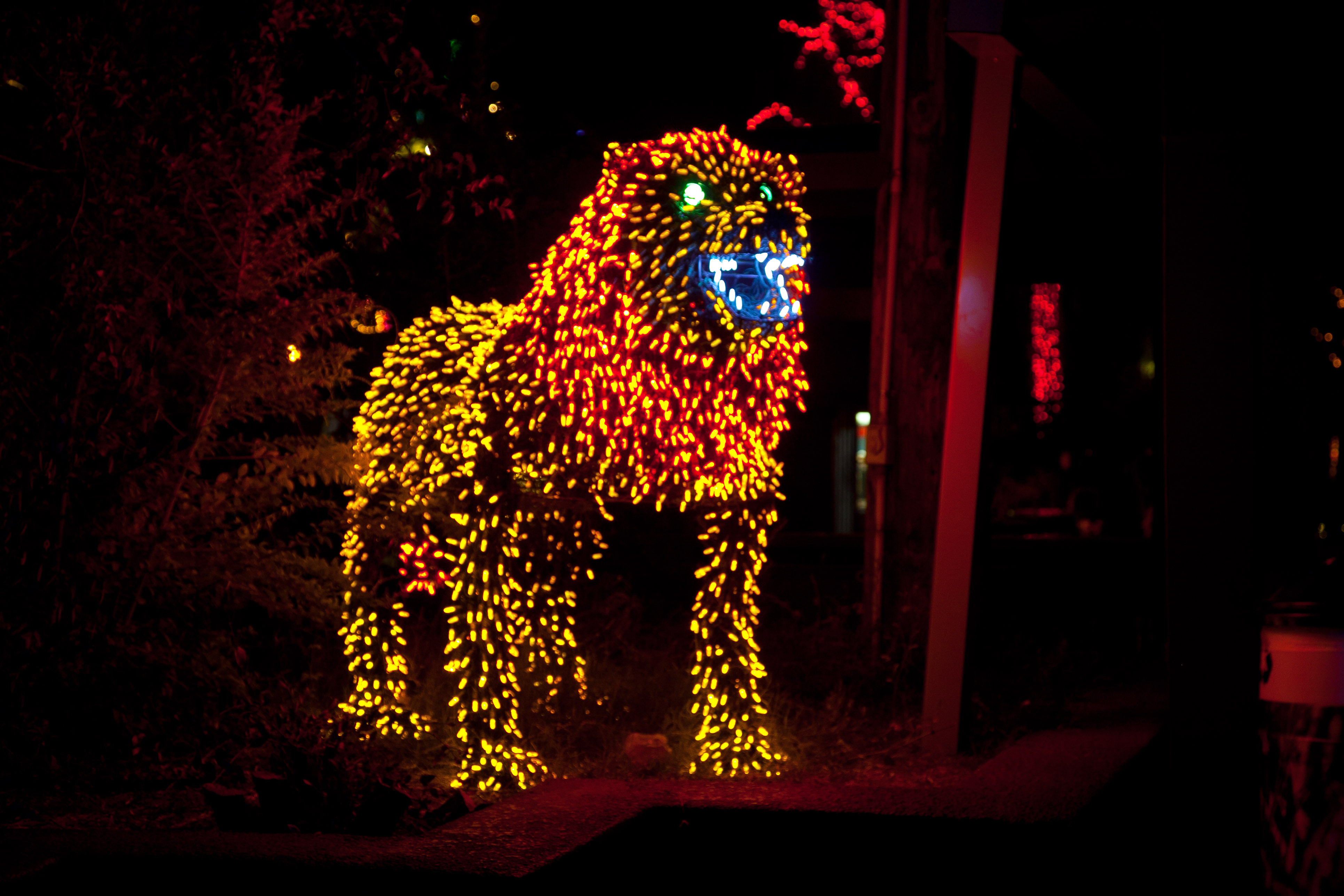 ZooLights ilumina las noches de navidad y color a partir de la noche de Acción de Gracias ZooLights ilumina las noches de navidad y color a partir de la noche de Acción de Gracias