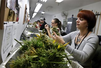 Colorado se prepara para venta legal de marihuana Colorado se prepara para venta legal de marihuana