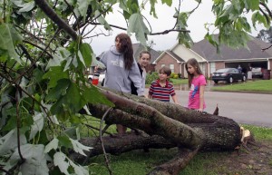 Deanna Locke, de 17 años, y sus hermanos (de izquierda a derecha) Charlotte, de 13, Drew, de 9 y Trinity, de 11, observan un arbol derribado frente a su casa en Tupelo, Mississippi, tras el paso de lo que se piensa fue un tornado este lunes 28 de abril de 2014. (Foto AP/Jim Lytle)