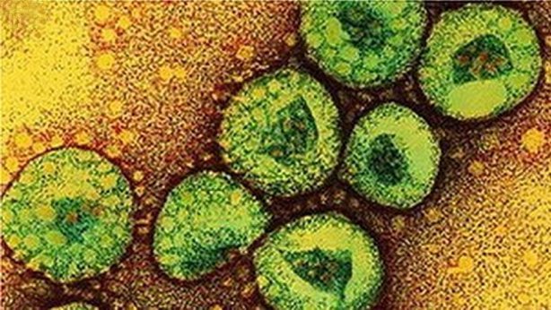 Se confirma 2do caso de MERS en los estados Unidos Se confirma 2do caso de MERS en los estados Unidos