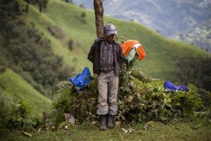 Durante décadas, los adolescentes que salen en busca de trabajo en Estados Unidos constituyen buena parte de la población de hombres jóvenes que salen de América Central escapando de la pobreza y la violencia de las pandillas. Pero la cantidad de niños inmigrantes que viajan solos, sin compañía, y cruzan la peligrosa frontera ha visto un aumento en los últimos tres años. (AP)
