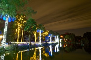 Uno de los eventos más tradicionales y que igual disfrutan los más pequeños de la familia como los adultos es “ZooLights”, que por esta época se lleva acabo en el Phoenix Zoo, el cual se engalana para recibir a sus visitantes cada noche con un espectáculo único de color que abriga los sentidos con el encendido de 3.7 millones de luces colocadas de forma estratégica por todo el lugar en forma de animales, en árboles y en cualquier rincón, que se encienden para imprimirle a este sitio, favorito de la familia, un aura mágica. Foto: Maria Bonilla/Panorama Online