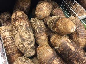 El Taro, ñame o malanga, se prepara de muchas formas, se puede hacer en puré, usar para sopas y guisos. Actualmente también lo utilizan para preparar batidos energéticos. Foto: Maria Bonilla/Panorama Online
