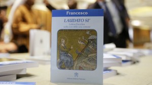 En la encíclica "Laudato Si (Alabado seas). Sobre el cuidado de la casa común", Francisco pide un cambio del estilo de vida de los países ricos inmersos en una cultura de consumo "inmediatista" y el final de las "actitudes que obstruyen" y ponen los beneficios por delante del bien común.