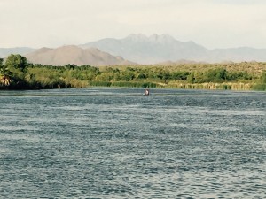 En verano el visitante encuentra un oasis para combatir el calor en las aguas de los ríos Salt y Verde y las cadenas de lagos. Foto: Maria Bonilla/ Panorama Online