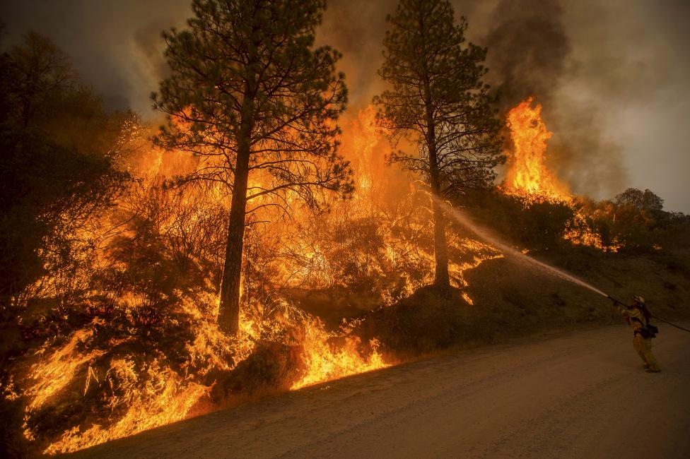 California, en estado de emergencia ante violentos incendios al norte del estado California, en estado de emergencia ante violentos incendios al norte del estado