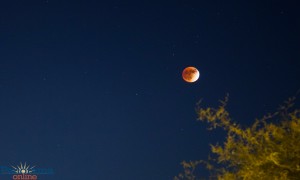 Fotografía del Eclipse total de super luna o luna roja, tomada en Buckeye, AZ,a 30 millas al oeste de Phoenix. Los habitantes de esta región del suroeste de los Estados Unidos tuvieron el privilegio de tener toda una noche de intenso espectáculo, ya que el celestial fenómeno se pudo observar de principio a fin, a partir de las 7:30 pm., y durante la madrugada. Foto: Maria T. Bonilla/ Panorama Online (Fotografía sujeta a copyright)