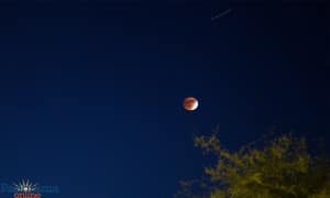 La última combinación de un eclipse lunar y de una super luna se remonta a 1982, según la NASA, y la próxima no se producirá hasta el año 2033. Foto: Maria T. Bonilla/ Panorama Online (Fotografía sujeta a copyright)