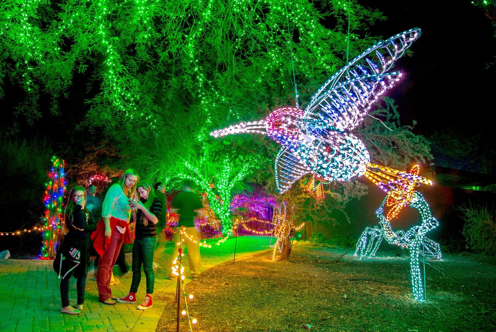Magia, luz y tradición: ¡Comenzó Zoolights!