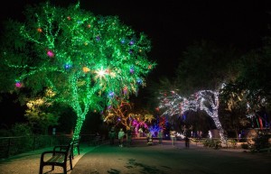 La magia de uno de los eventos más tradicionales que se celebra en el Valle del Sol ya comenzó y todos podrán disfrutar del esplendor de millones de luces desplegadas en forma de animales, en los arboles y en cada rincón del Phoenix Zoo, hasta el 10 de enero de 2016. Se trata de ZooLights, un espectáculo inigualable y el más grande en el Suroeste de los Estados Unidos en su clase