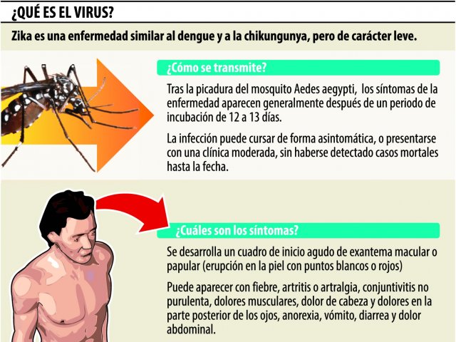 El virus zika se extenderá por toda América, excepto Canadá y Chile El virus zika se extenderá por toda América, excepto Canadá y Chile