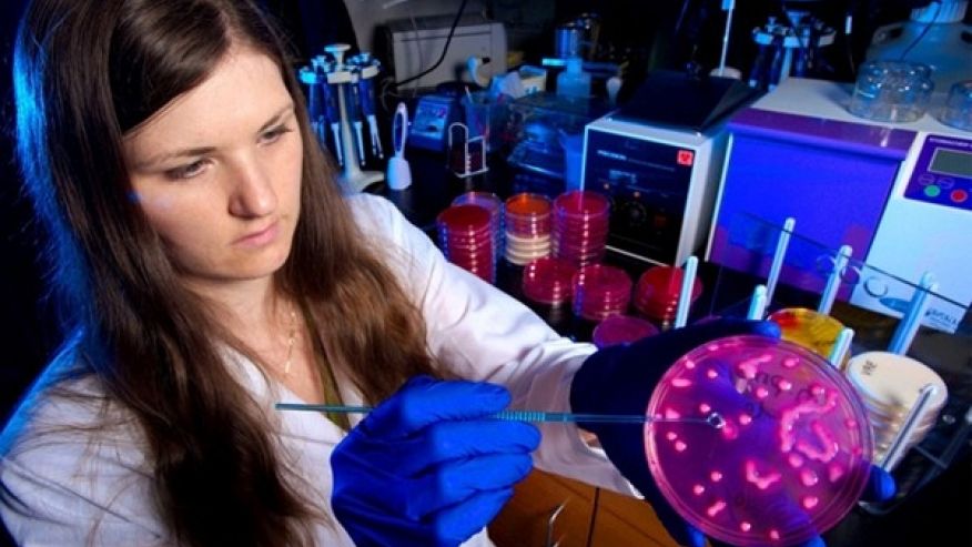 Las superbacterias amenazan a los pacientes en los hospitales Las superbacterias amenazan a los pacientes en los hospitales