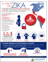 Spanish-Zika-flyer