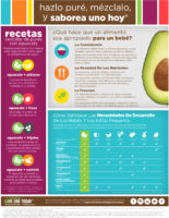 Los aguacates son únicos como alimento complementario y de transición ya que brindan una fuente ideal de calorías (principalmente procedentes de las grasas no saturadas "buenas"), a fin de satisfacer la demanda creciente de energía durante el crecimiento de los bebés que empiezan a dejar la leche materna y de los niños pequeños.(PRNewsFoto/Hass Avocado Board)