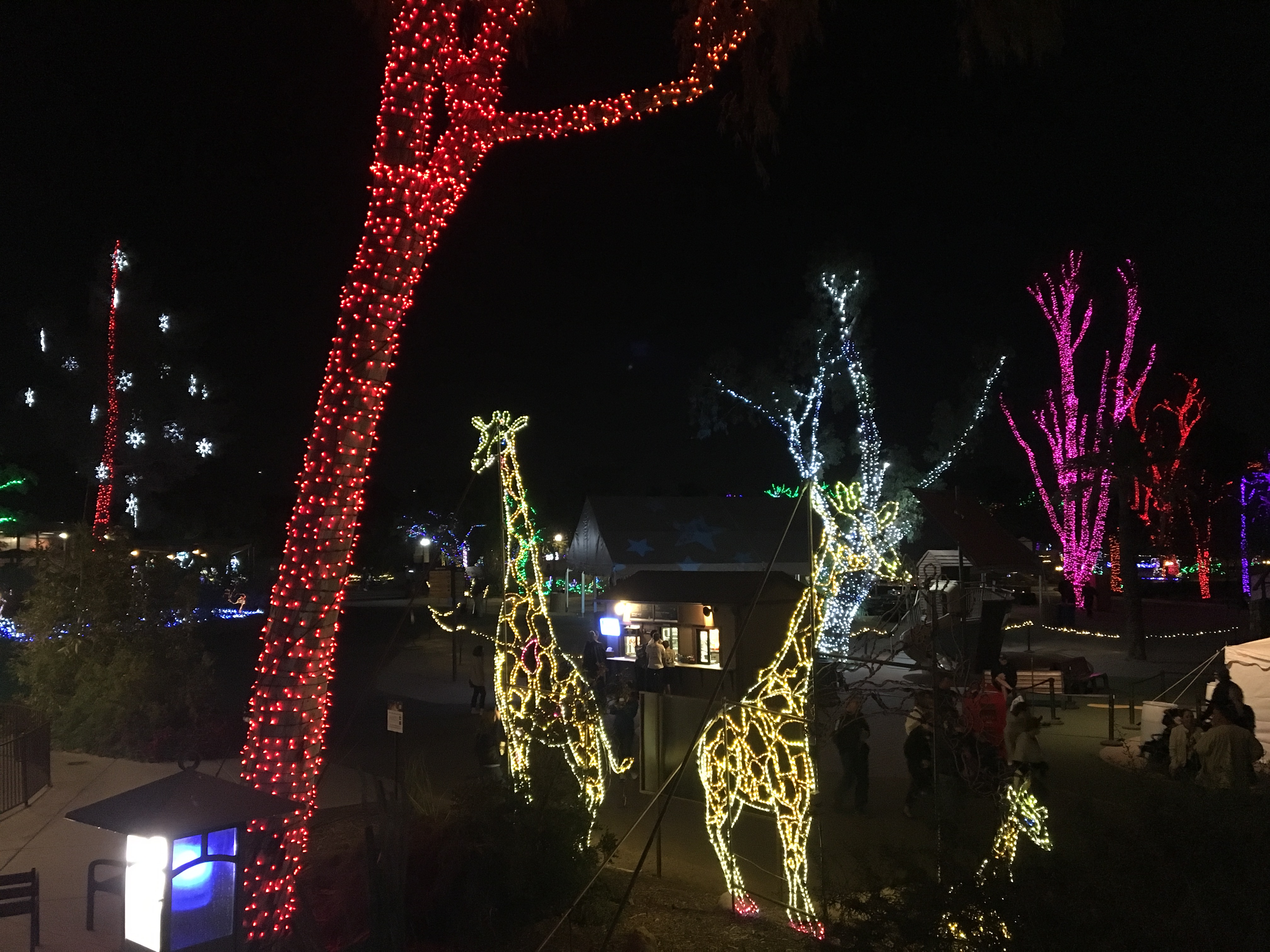 Como ya es tradición ZooLights engalana con miles de destellos las noches de Navidad en Phoenix Zoo Como ya es tradición ZooLights engalana con miles de destellos las noches de Navidad en Phoenix Zoo