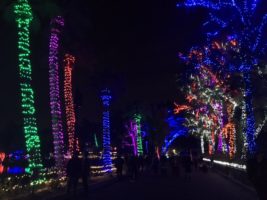 Arboles con luces multicolores adornan todos los senderos del Phoenix Zoo esta temporada, celebrando los 25 años de Zoolights. Foto: Maria Bonilla/ Panorama Online