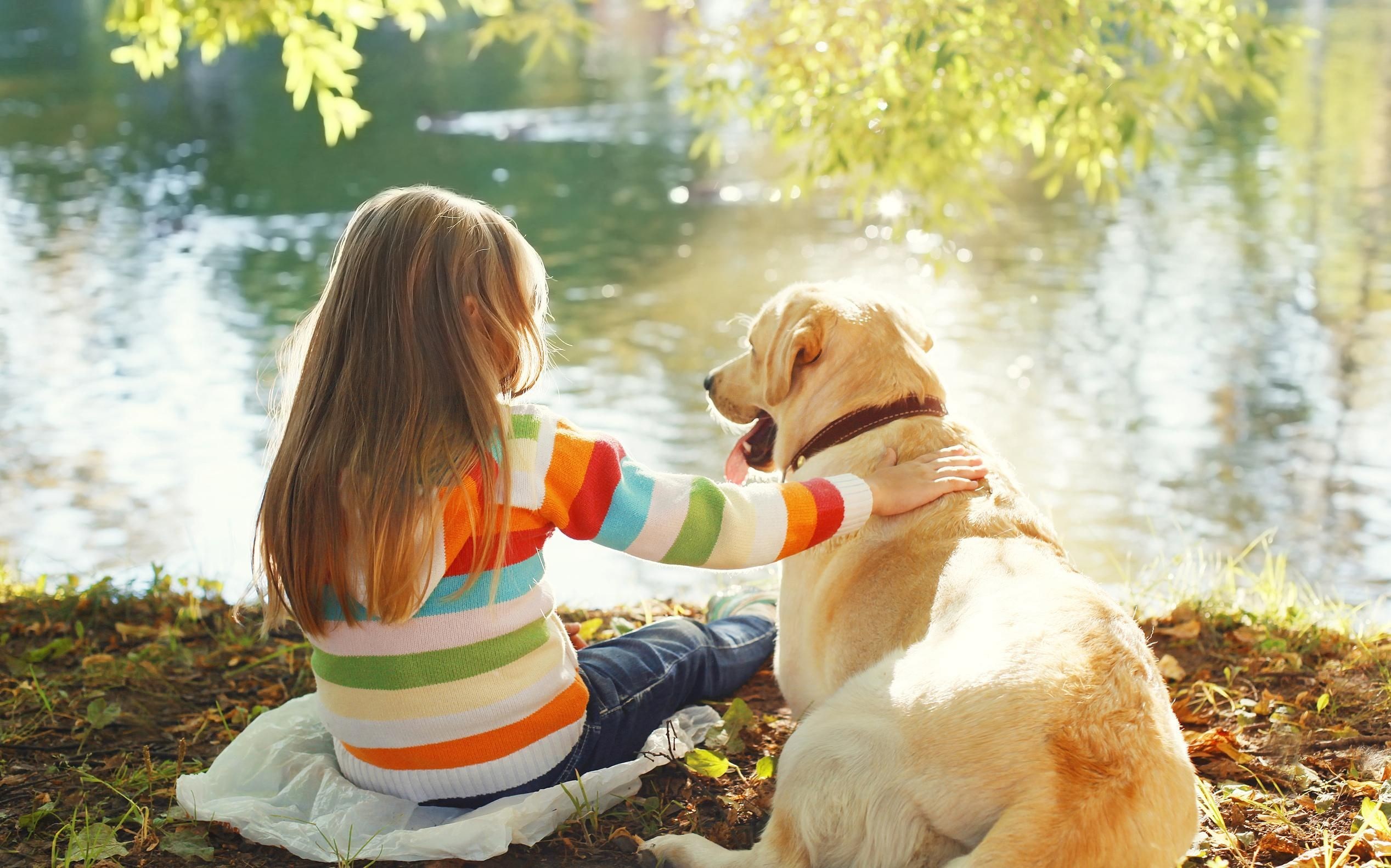 Las mascotas de la familia estimulan el desarrollo infantil Las mascotas de la familia estimulan el desarrollo infantil