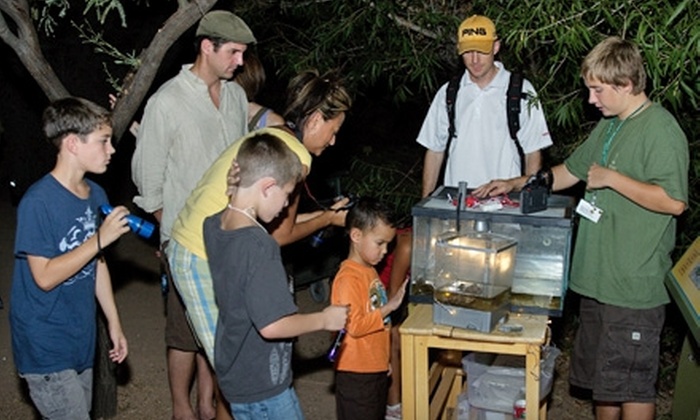 Paseos nocturnos por Desert Botanical Garden Paseos nocturnos por Desert Botanical Garden