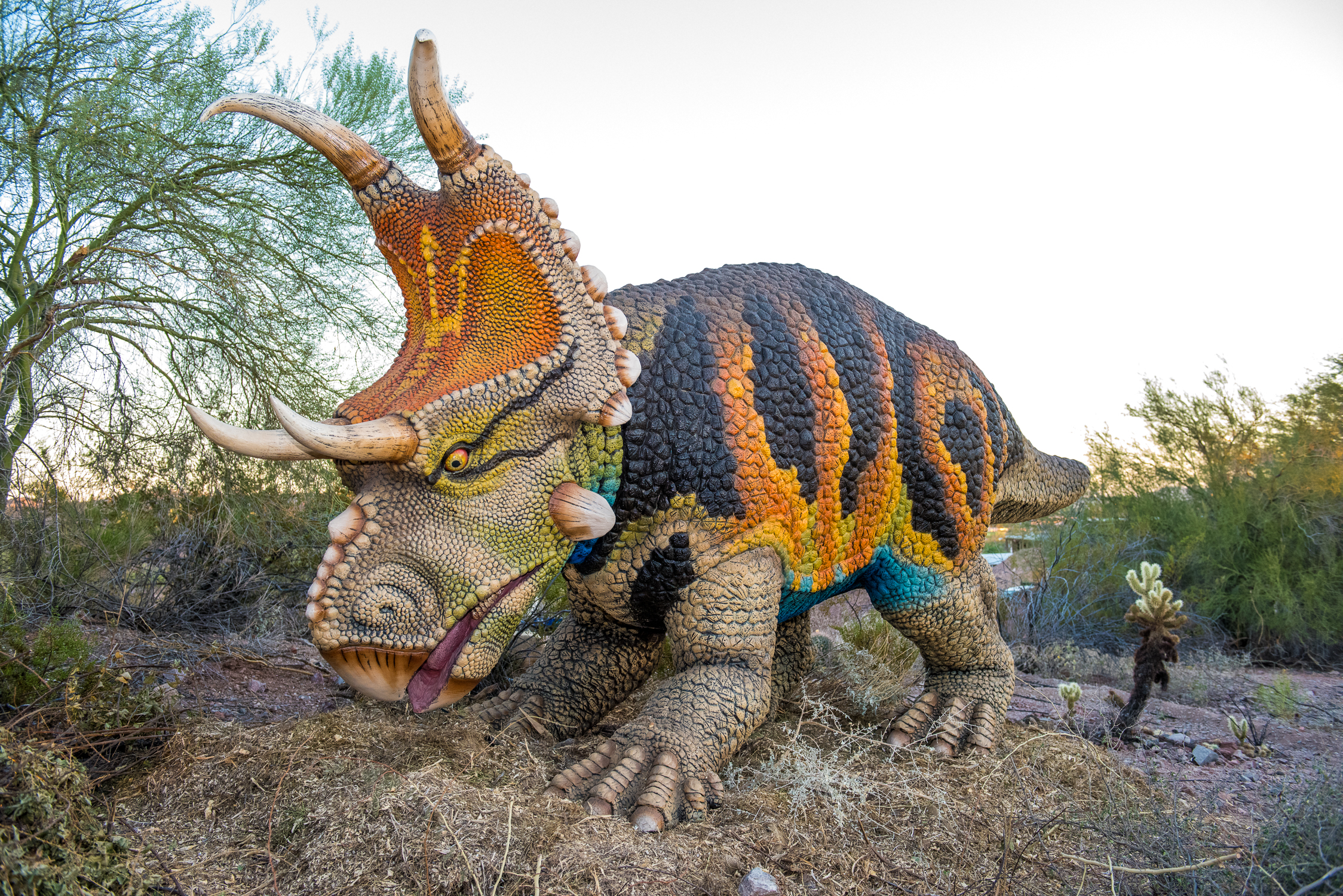EVENTO LOCAL: Los Dinosaurios se toman el Zoológico de Phoenix a través de la exhibición “Dinosaurs in the Desert” EVENTO LOCAL: Los Dinosaurios se toman el Zoológico de Phoenix a través de la exhibición “Dinosaurs in the Desert”