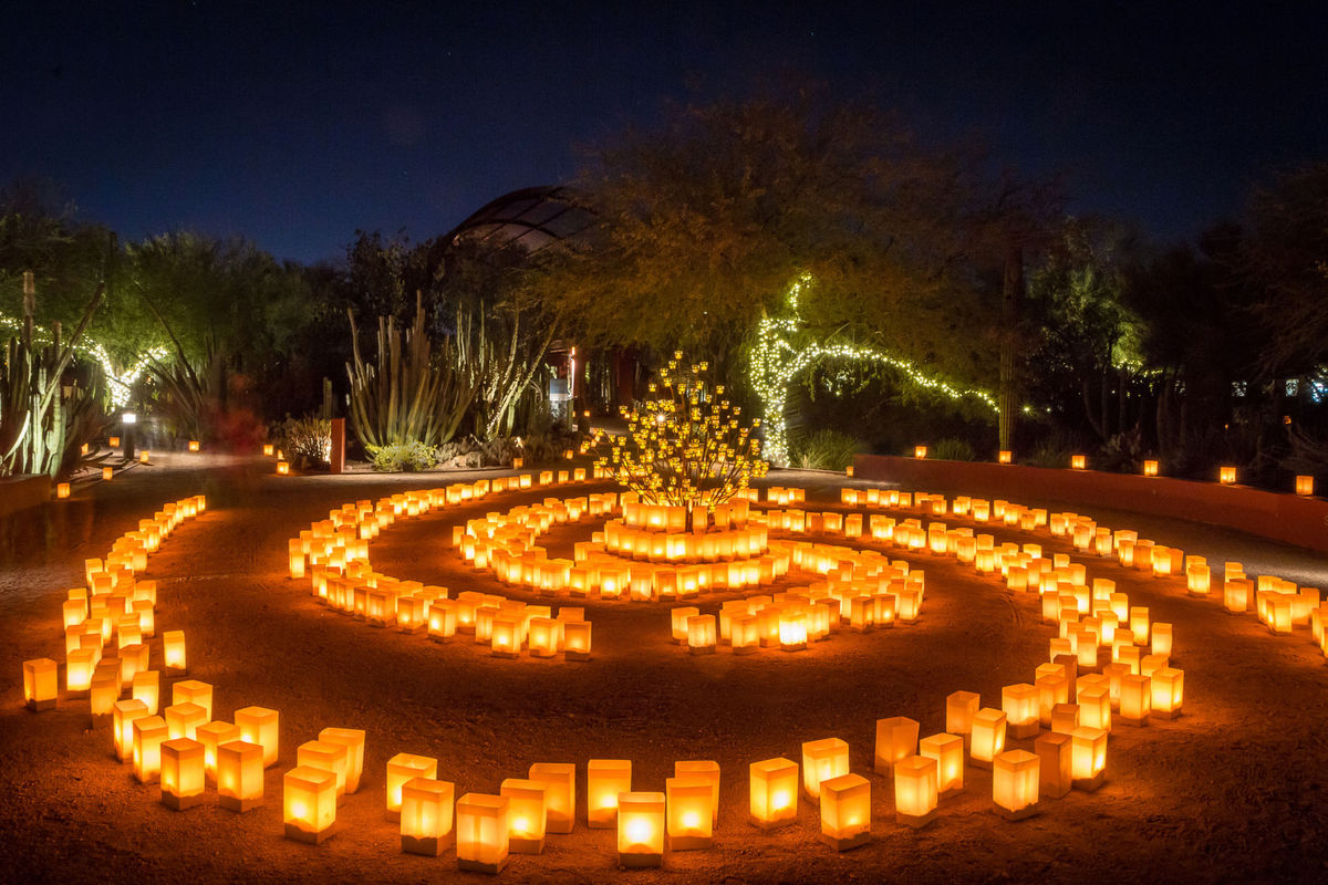 Miles de luminarias encendidas adornan las noches de diciembre en Desert Botanical Garden Miles de luminarias encendidas adornan las noches de diciembre en Desert Botanical Garden